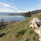 The adventure begins…