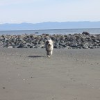 Pacific Marine Circle Route