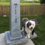 24 hours in 100 Mile