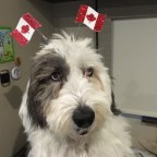 Canada Day in Northern BC 