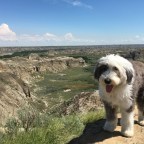 From Cowtown to Badlands