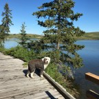 Serenity in Cypress Hills