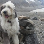 Exploring Ice and Water