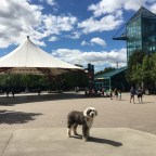 Winnipeg to Oshawa – a 10 day recap