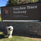 Navigating the Natchez Trace