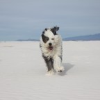 Navigating New Mexico