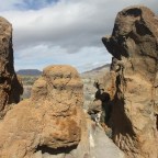 Diggin’ the Desert