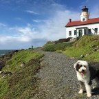 California Cruisin’ with the Islanders